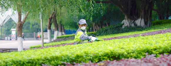 Landscaping Maintenance Project in Zhangdian District, Zibo City