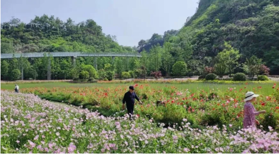 新華網 | 北控水務獲第十二屆園冶杯國際競賽多個獎項